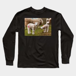 Newborn Lambs in the Brecon Beacons Long Sleeve T-Shirt
